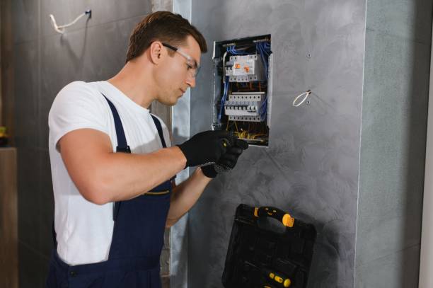 Best Electric Panel Repair  in Fraser, MI