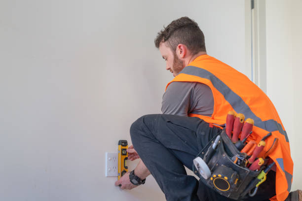 Best Affordable Electrician  in Fraser, MI