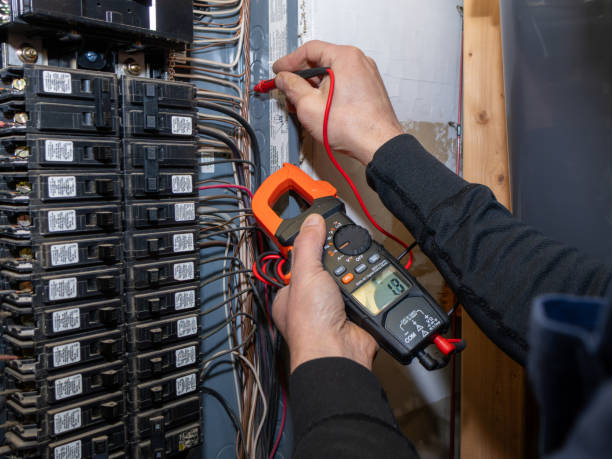 Best Electrician for Home Renovation  in Fraser, MI