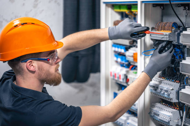 Best Local Electrician Companies  in Fraser, MI